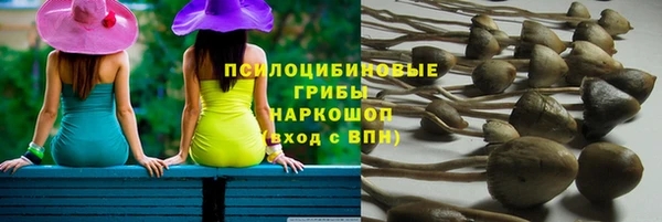 гидропоника Абдулино