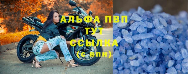 крисы Алзамай