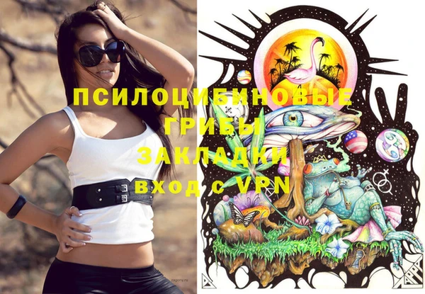 крисы Алзамай
