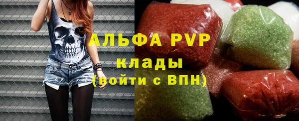 прущие грибы Абинск
