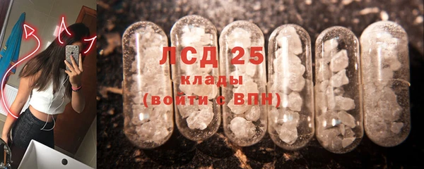 шишки Алексин
