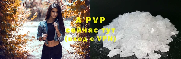 прущие грибы Каменка