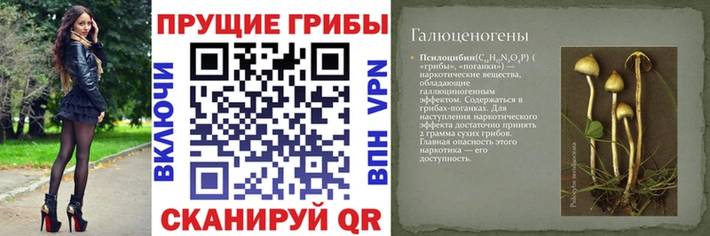 Галлюциногенные грибы мухоморы  Гусь-Хрустальный 